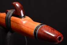 Aligator Juniper Native American Flute, Minor, Low F-4, #G11I